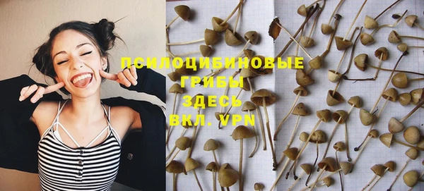мдпв Медногорск