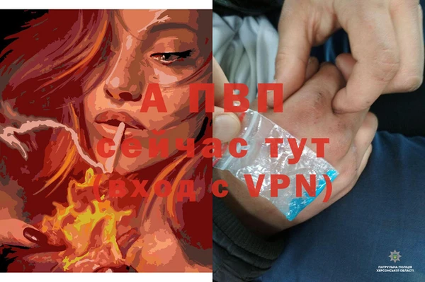мдпв Медногорск