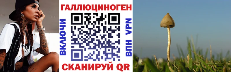 Псилоцибиновые грибы ЛСД  Нюрба 